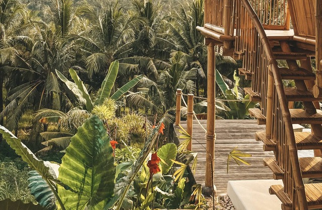 Kalma Bamboo Eco Lodge