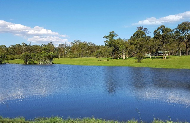 Kangaroo Cottage - cute Accom in bushland setting