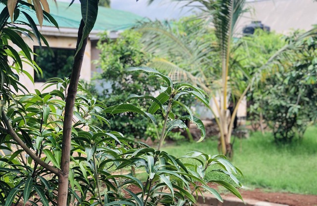 Kilibase Hotel