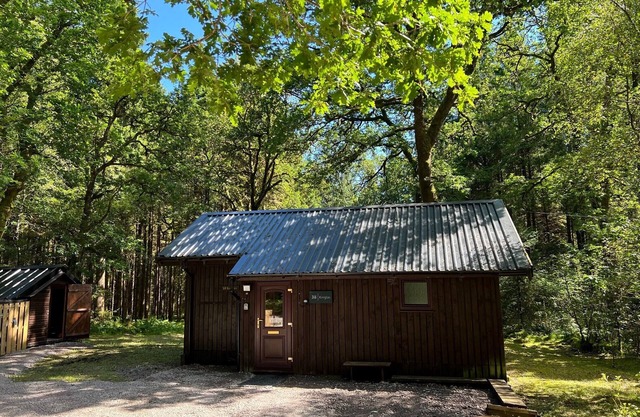 KINGLAS is a charming cabin in a lovely, peaceful location deep in the forest