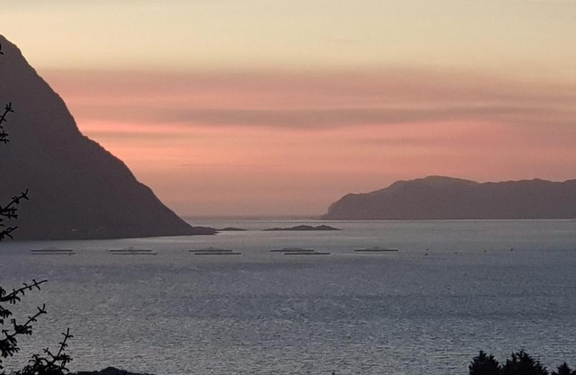 Koselig hus med fantastisk utsikt, Stadlandet