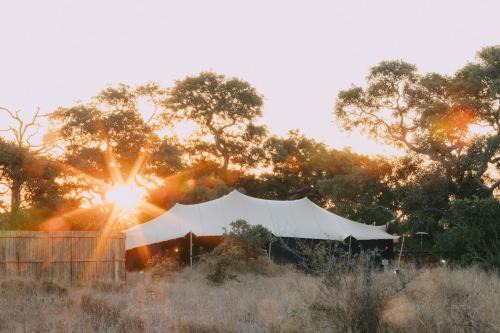 Kruger Untamed - Satara Plains Camp