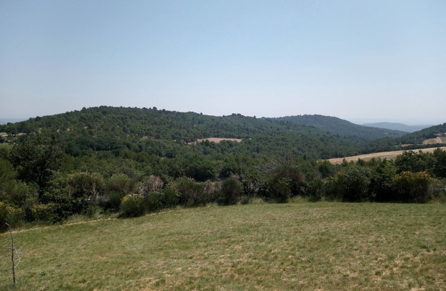 L'amphitryon