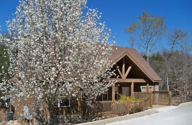 L078B, 1Br Cabin,Don’t Miss 15% Off #+Nts September Stays SEE DESC. BELOW
