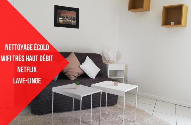 L6 - Green and premium flat close Paris - WIFI & NETFLIX