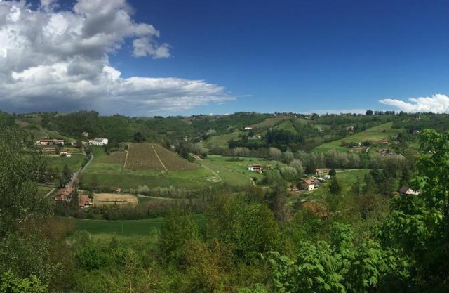 La Contea