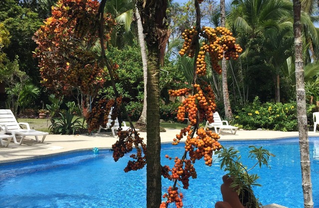 La Diosa Nature Lodge