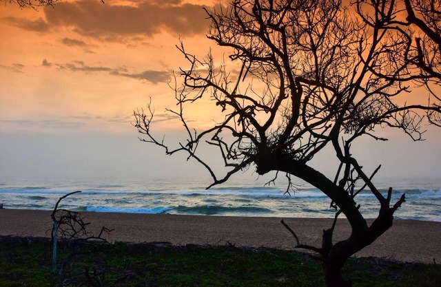 La Lucia Sands