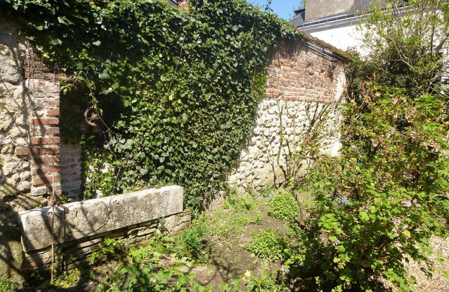 La Petite Vigne