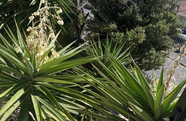 La Roche Guest House