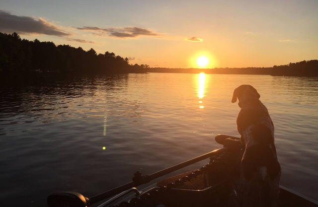 Lake front cottage on beautiful quiet setting on Lake Holcombe