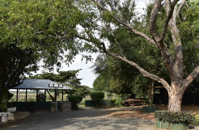 Lake Monark Resort