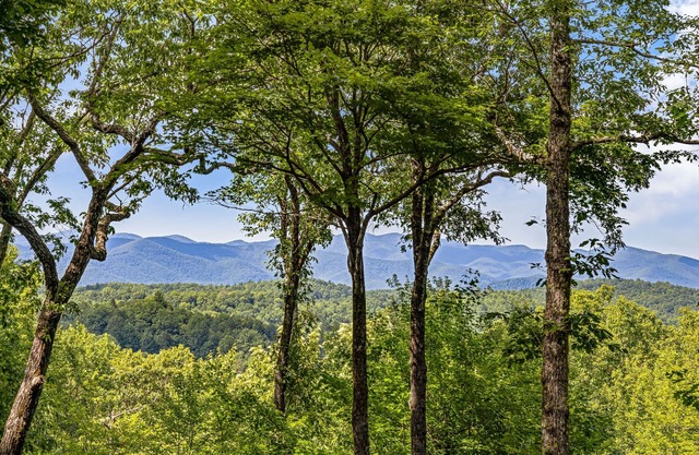LAKE TOXAWAY ESTATES-Lake & Mountain Views