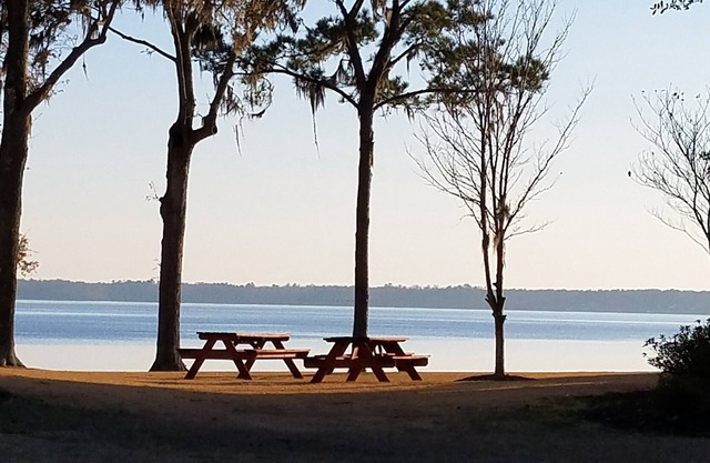 Lakefront Condo w/Boat Slip at North Shore. 3BR/3BA -- Fishing, Golfing, Boating