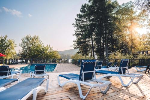 Lakefront Mountain View Remote Work - 1 Bd Suite