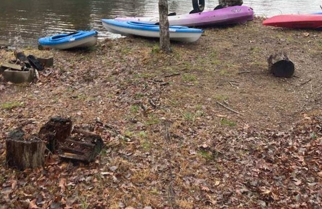 Lakeshore Cottage Lake Lanier | Privacy, Free Wifi, & Free Parking!