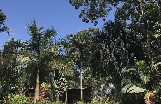 Las Casas Costa Rica a private lodge in the Caribbean jungle