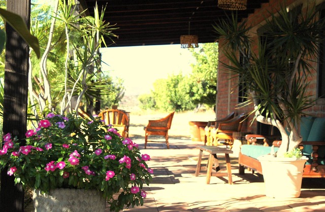 Las Orquideas