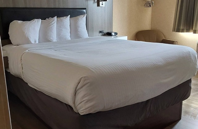 Lavissh Inn & Suites