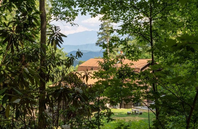 Lazy Bear Cabin w/Breathtaking Views!