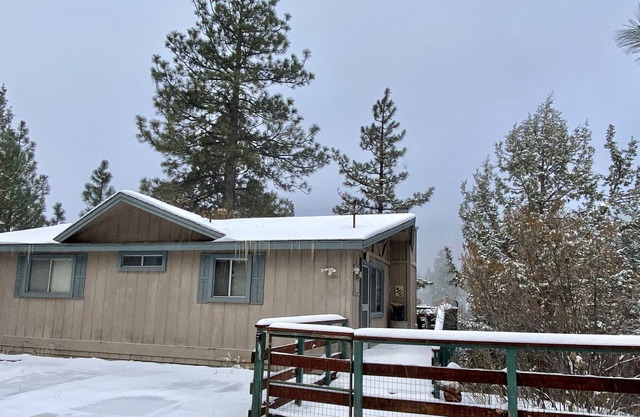 Lazy Bear Lodge - 3br/2ba/relaxing Forest Views/smart Tv/wifi/fenced Yard 3 Bedroom Home