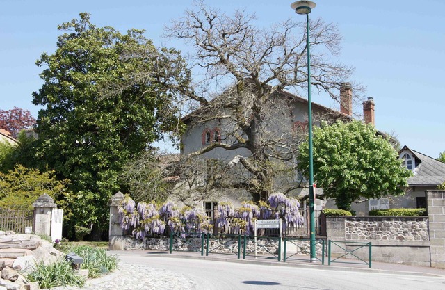Le Clos de la Muse