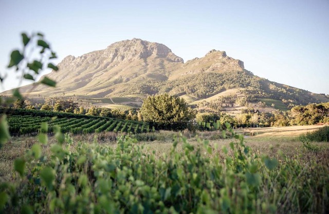 Le Pommier Wine Estate