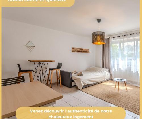 Le Salève I Studio I Etrembières