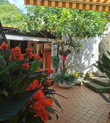 "Lemon Tree House" with garage for MTB