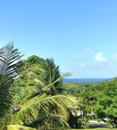 Les Alizées - Pleasant & Sea View