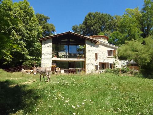 Les Favouilles - Gîte & Chambres d hôtes