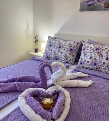 Lily Cozy Apartment
