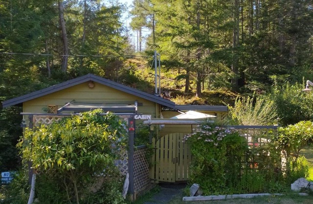 Lily Lake Rock Cabin surrounded by nature