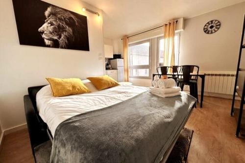 Lion - Centre-ville - MA CONCIERGERIE