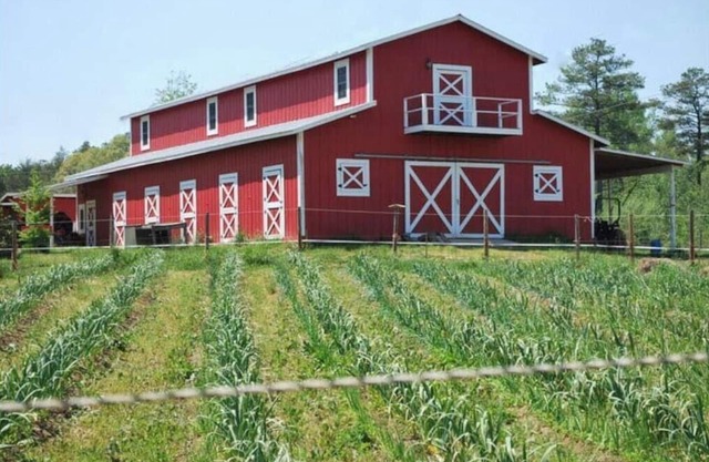 Live the farm life!