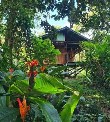 Live the Jungle - Rustic Refuge