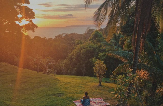 Lodge in tropical forest, breathtaking view of the Pacific