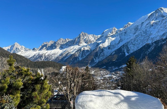 Logement avec jardin et vue panoramique MontBlanc