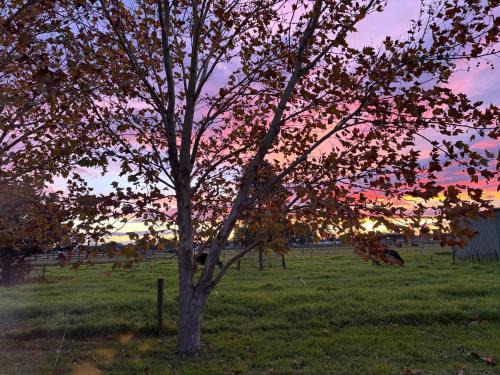 Lorn Farm Stay