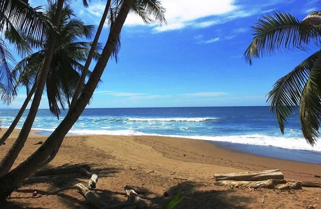 Los Delfines #1 LUXURY Villa 32 with private pool - Sleeps 8