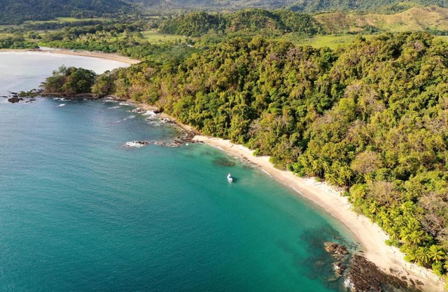 Los Vivos Beachfront Experience