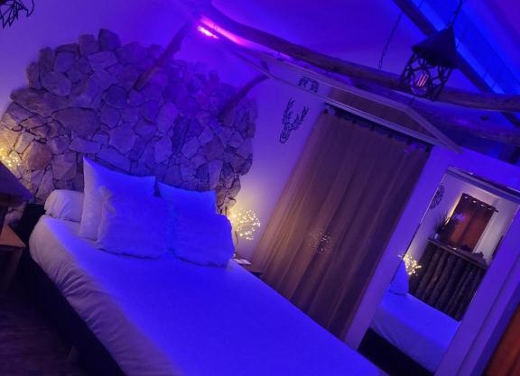 LOVE Room Danslesbois avec spa