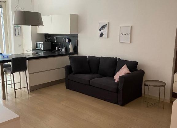 Lovely apartment in the new Porta Nuova area