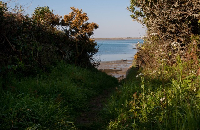 Lovely apartment on the ground floor of a house just a stone's throw from Carnac