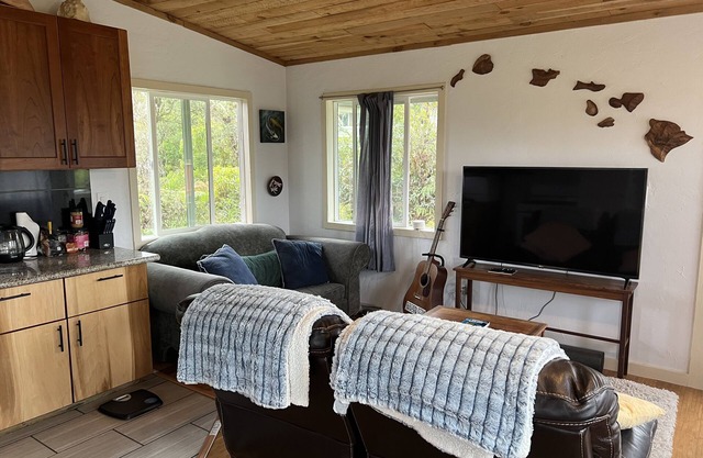 Lovely Centrally-Located Cabin with fast Wi-Fi. Perfect for E.Hawaii Exploration