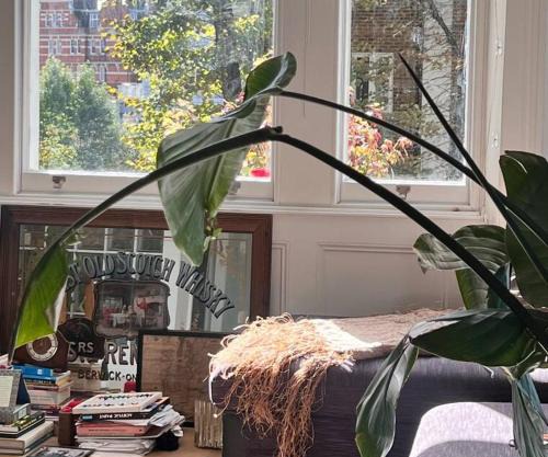 Lovely flat near Holland Park