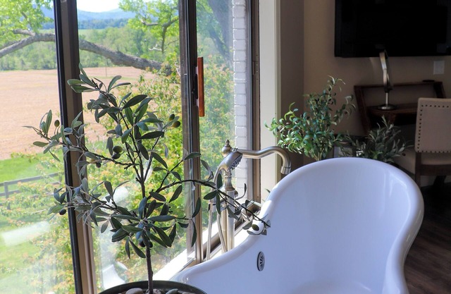 Lush Countryside & Shenandoah Mountain Views at Quiet Hills Retreat