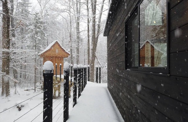 LUXE Forest Retreat