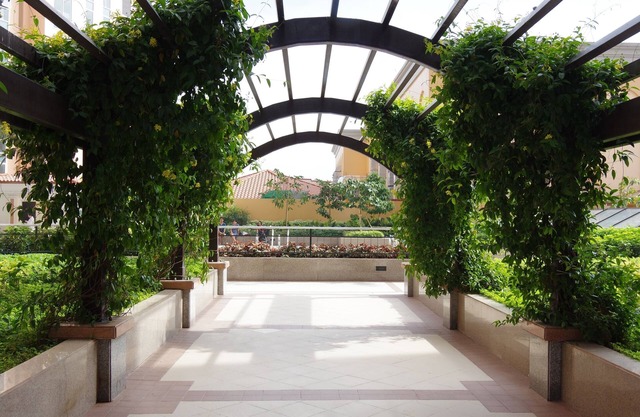 LUXE In Venice - The Venice Residences