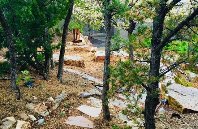 Luxurious Zen Retreat eight minutes from the Plaza
